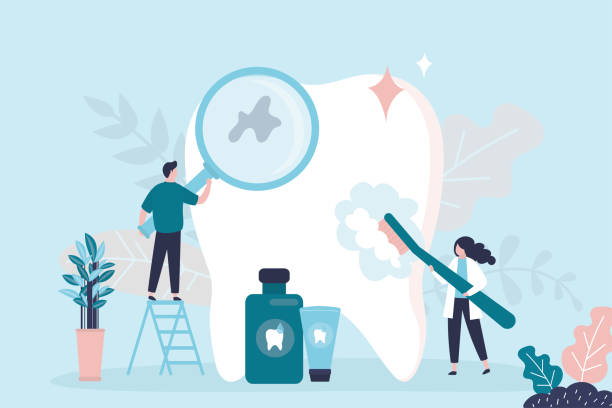 Trusted Charlotte, NC Holistic Dental Care Services Experts